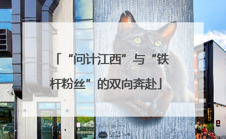 “问计江西”与“铁杆粉丝”的双向奔赴
