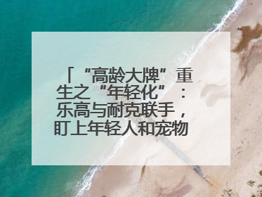 “高龄大牌”重生之“年轻化”：乐高与耐克联手，盯上年轻人和宠物的钱包