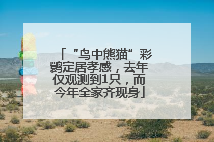 “鸟中熊猫”彩鹮定居孝感，去年仅观测到1只，而今年全家齐现身