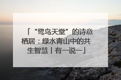 “鹭鸟天堂”的诗意栖居：绿水青山中的共生智慧丨有一说一