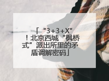 “3+3+X”！北京西城“枫桥式”派出所里的矛盾调解密码