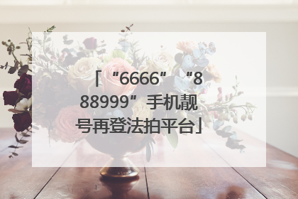 “6666”“888999”手机靓号再登法拍平台