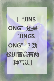 “JINSONG”还是“JINGSONG”？劲松拼音竟有两种写法