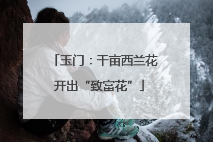 玉门：千亩西兰花开出“致富花”