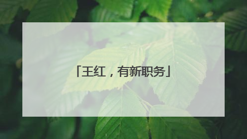 王红，有新职务