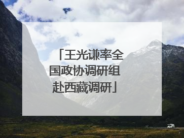 王光谦率全国政协调研组赴西藏调研