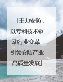 王力安防：以专利技术驱动行业变革 引领安防产业高质量发展