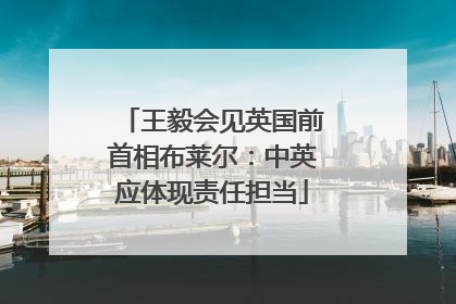 王毅会见英国前首相布莱尔：中英应体现责任担当