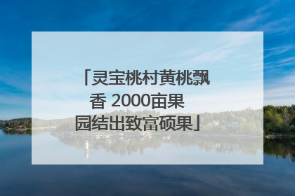 灵宝桃村黄桃飘香 2000亩果园结出致富硕果