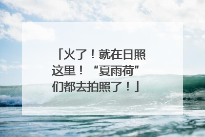 火了！就在日照这里！“夏雨荷”们都去拍照了！