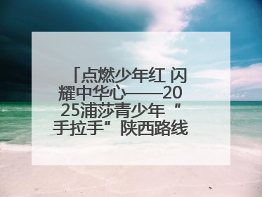 点燃少年红 闪耀中华心——2025浦莎青少年“手拉手”陕西路线丝路续新章