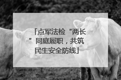 点军法检“两长”同庭履职，共筑民生安全防线