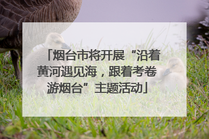烟台市将开展“沿着黄河遇见海，跟着考卷游烟台”主题活动