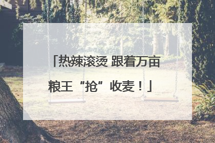 热辣滚烫 跟着万亩粮王“抢”收麦！