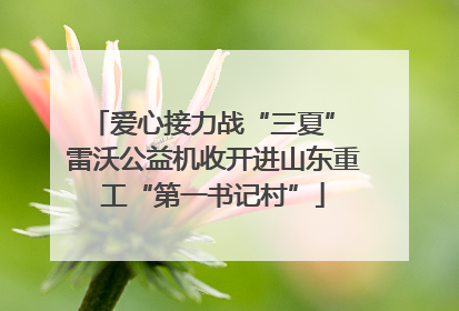 爱心接力战“三夏” 雷沃公益机收开进山东重工“第一书记村”