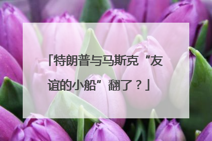 特朗普与马斯克“友谊的小船”翻了？