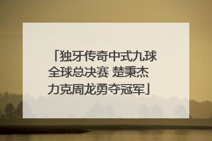 独牙传奇中式九球全球总决赛 楚秉杰力克周龙勇夺冠军