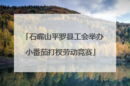 石嘴山平罗县工会举办小番茄打杈劳动竞赛
