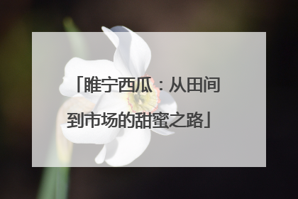 睢宁西瓜：从田间到市场的甜蜜之路