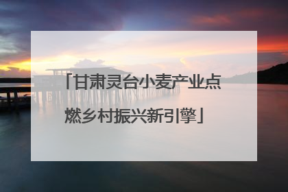 甘肃灵台小麦产业点燃乡村振兴新引擎