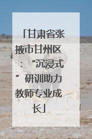 甘肃省张掖市甘州区：“沉浸式”研训助力教师专业成长