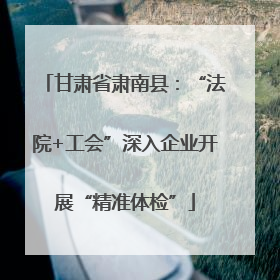 甘肃省肃南县：“法院+工会”深入企业开展“精准体检”