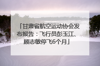 甘肃省航空运动协会发布报告：飞行员彭玉江、顾志敏停飞6个月