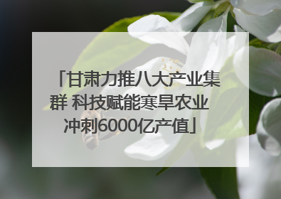 甘肃力推八大产业集群 科技赋能寒旱农业冲刺6000亿产值