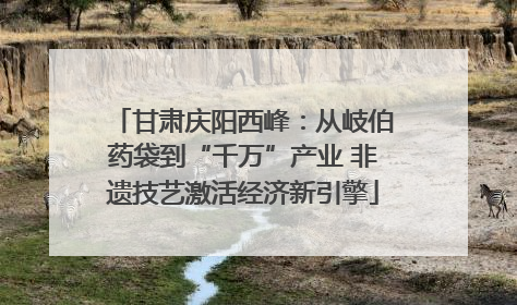 甘肃庆阳西峰：从岐伯药袋到“千万”产业 非遗技艺激活经济新引擎