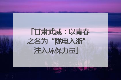 甘肃武威：以青春之名为“陇电入浙”注入环保力量