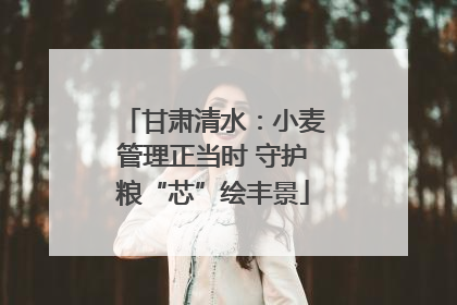 甘肃清水：小麦管理正当时 守护粮“芯”绘丰景
