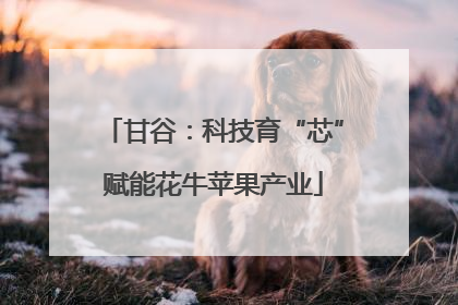 甘谷：科技育“芯”赋能花牛苹果产业