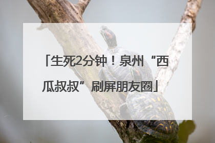 生死2分钟！泉州“西瓜叔叔”刷屏朋友圈
