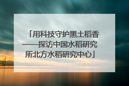 用科技守护黑土稻香——探访中国水稻研究所北方水稻研究中心