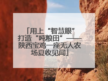 用上“智慧眼” 打造“吨粮田”——陕西宝鸡一座无人农场夏收见闻