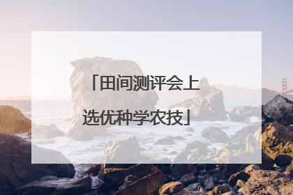 田间测评会上选优种学农技
