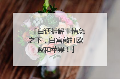 白话拆解丨情急之下，白宫敲打欧盟和苹果！