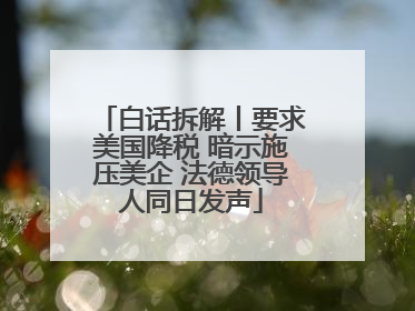 白话拆解丨要求美国降税 暗示施压美企 法德领导人同日发声