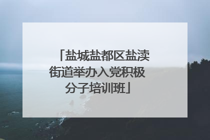 盐城盐都区盐渎街道举办入党积极分子培训班