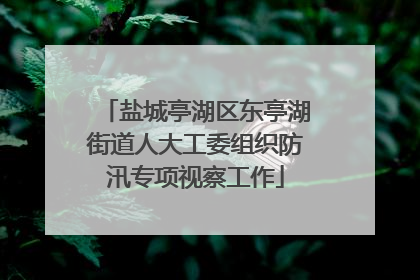 盐城亭湖区东亭湖街道人大工委组织防汛专项视察工作