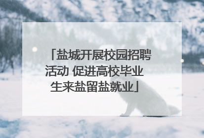 盐城开展校园招聘活动 促进高校毕业生来盐留盐就业