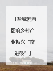 盐城滨海擂响乡村产业振兴“奋进鼓”