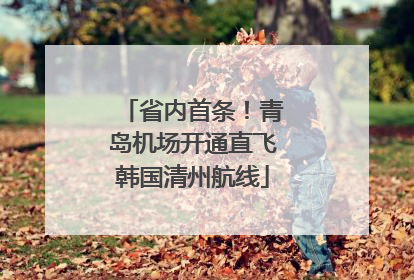 省内首条！青岛机场开通直飞韩国清州航线