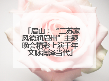 眉山：“三苏家风德润眉州”主题晚会精彩上演千年文脉润泽当代