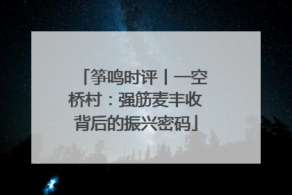筝鸣时评丨一空桥村：强筋麦丰收背后的振兴密码