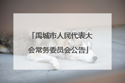 禹城市人民代表大会常务委员会公告