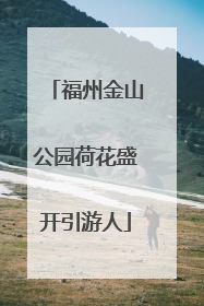 福州金山公园荷花盛开引游人