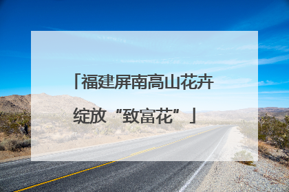 福建屏南高山花卉绽放“致富花”