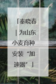 秦晓春｜为山东小麦育种安装“加速器”