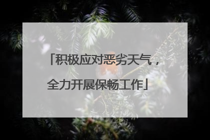 积极应对恶劣天气，全力开展保畅工作